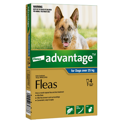 Advantage Flea Treatment X Large Dog 25kg+