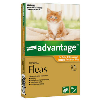 Advantage Flea Treatment for Small Cat & Rabbits 0-4kg