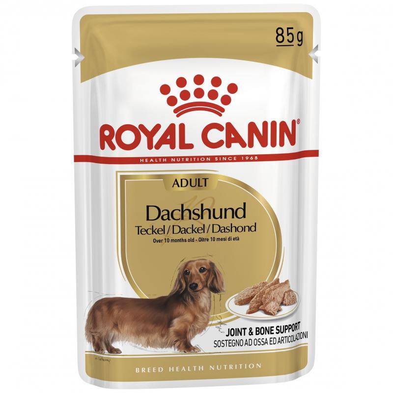 Royal Canin Dachshund Wet Dog Food