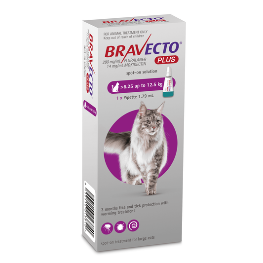 Bravecto Plus Cat spot-on  6.25-12.5kg