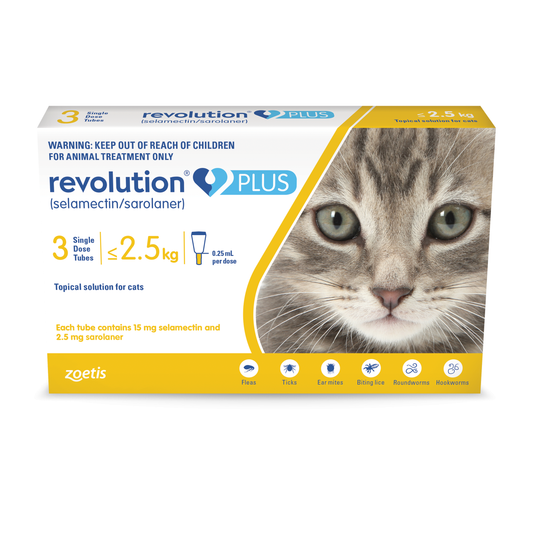 Revolution Plus Flea Treatment for Cats & Kittens