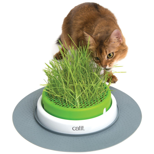 Catit Senses 2.0 Cat Grass Planter