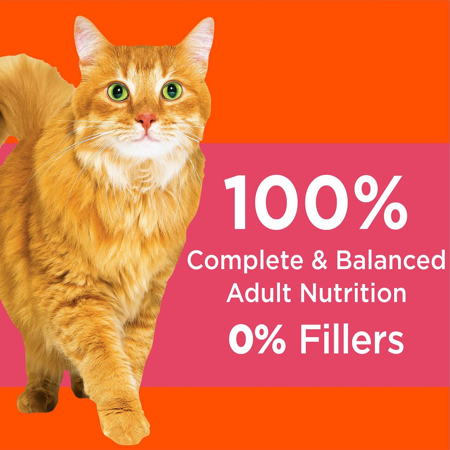 Iams Proactive Health Salmon & Tuna Adult Dry Cat Food