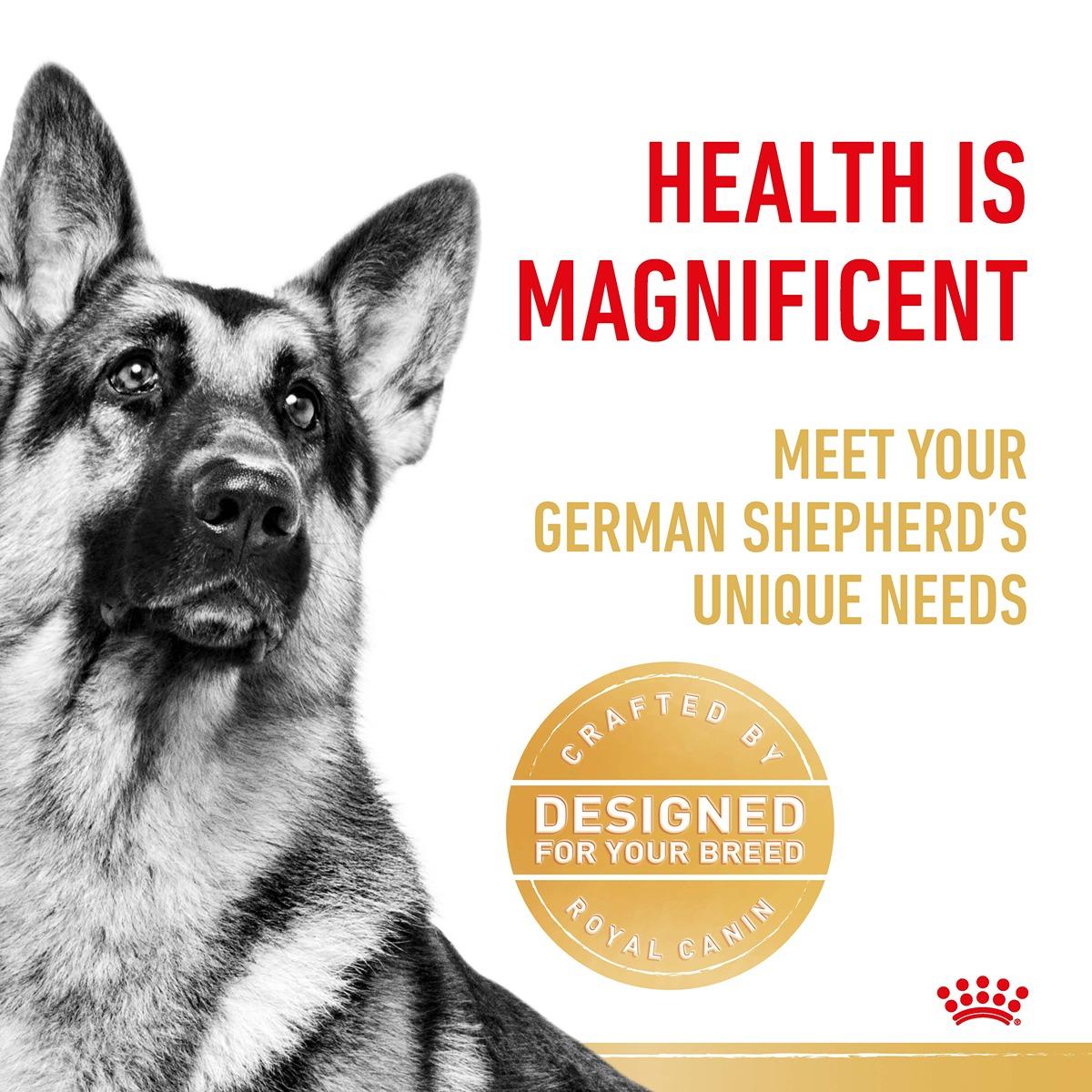 Royal Canin German Shepherd Dry Dog Food