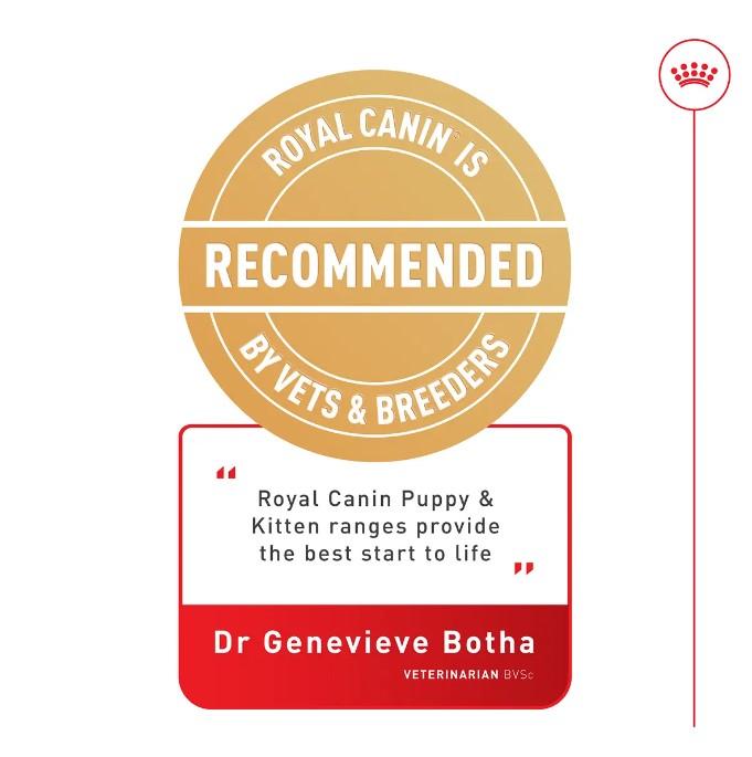 Royal Canin Pug Dry Puppy Food