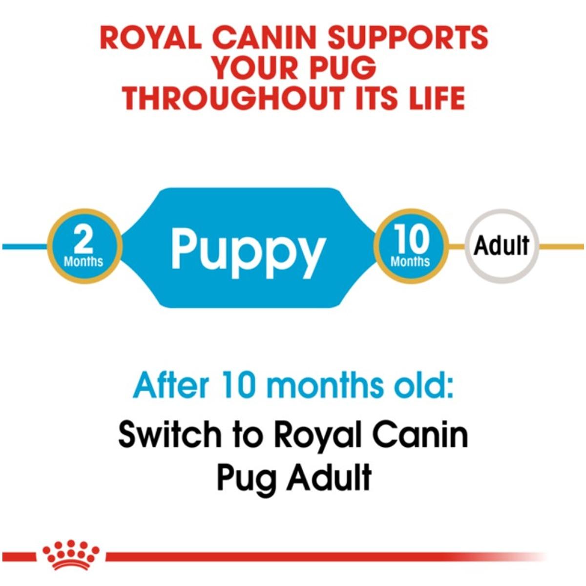 Royal Canin Pug Dry Puppy Food