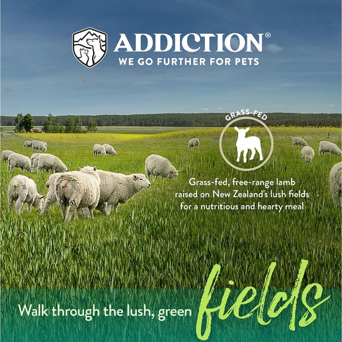 Addiction Grain-Free Herbed Lamb & Potato Air Dried Dog Food