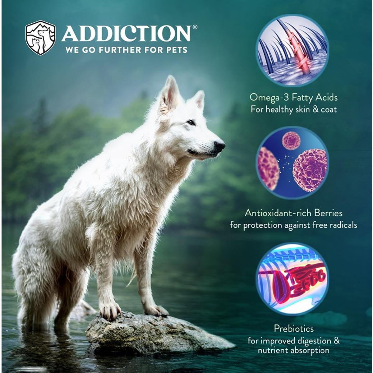 Addiction Grain-Free Herbed Lamb & Potato Air Dried Dog Food