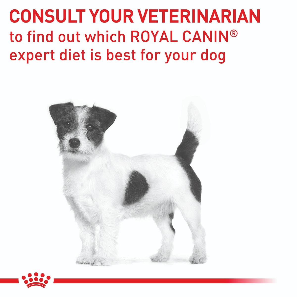 Royal Canin Veterinary Diet Mature Consult Small Dog