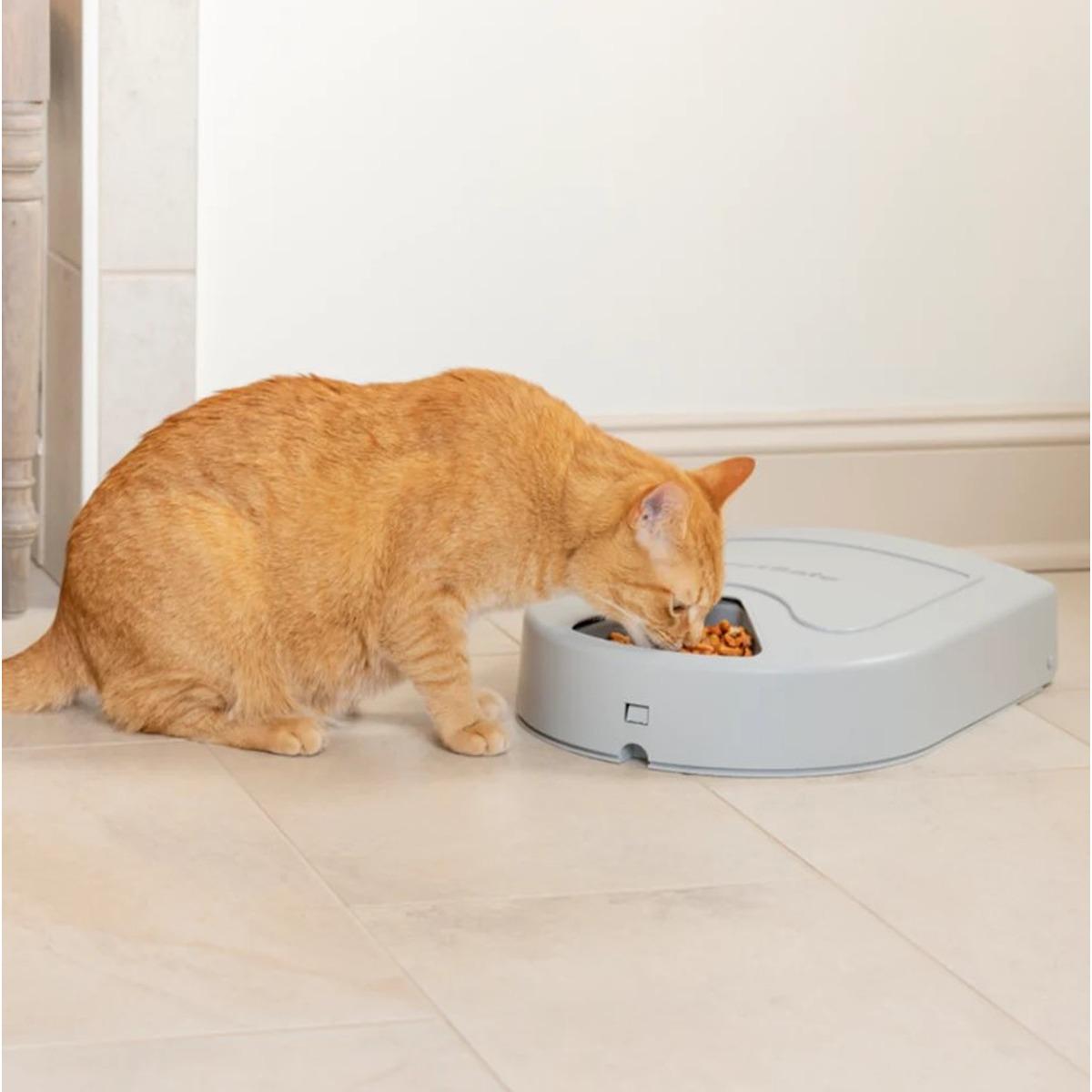 PetSafe Eatwell 5 Meal Pet Feeder