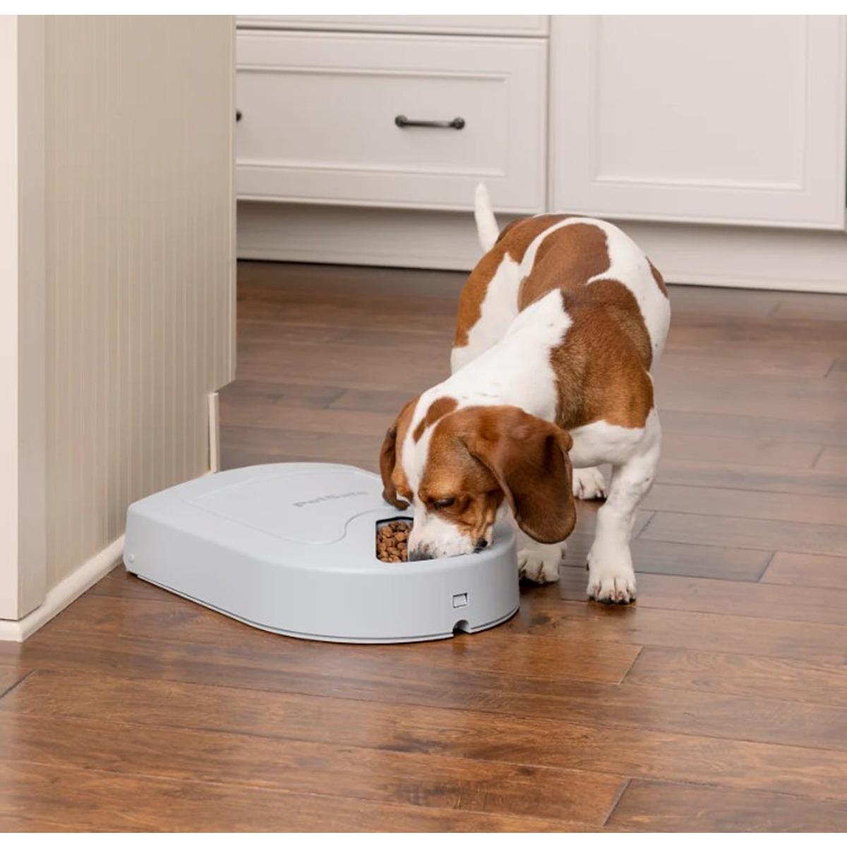 PetSafe Eatwell 5 Meal Pet Feeder