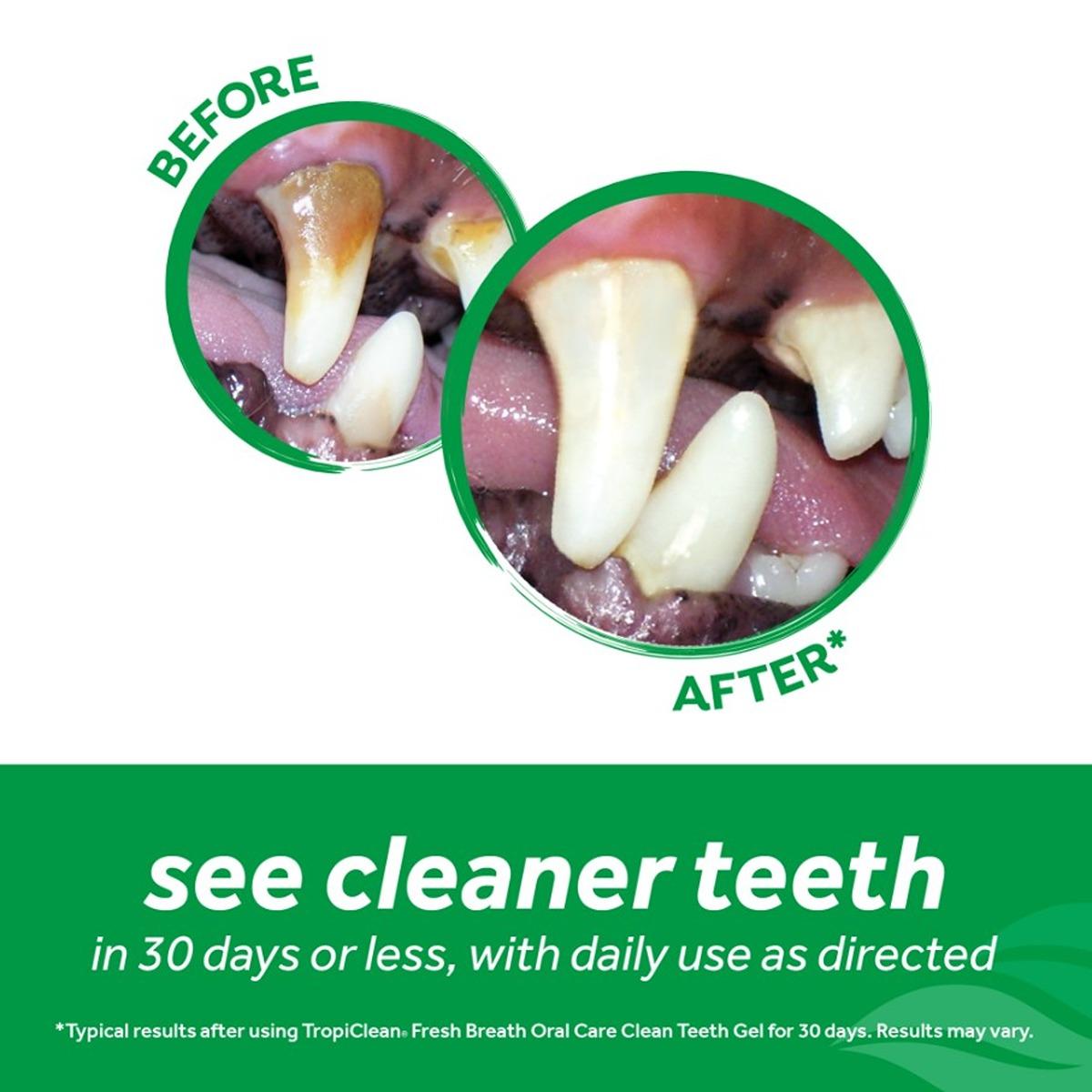 Tropiclean Clean Teeth Gel Peanut Butter 59ml