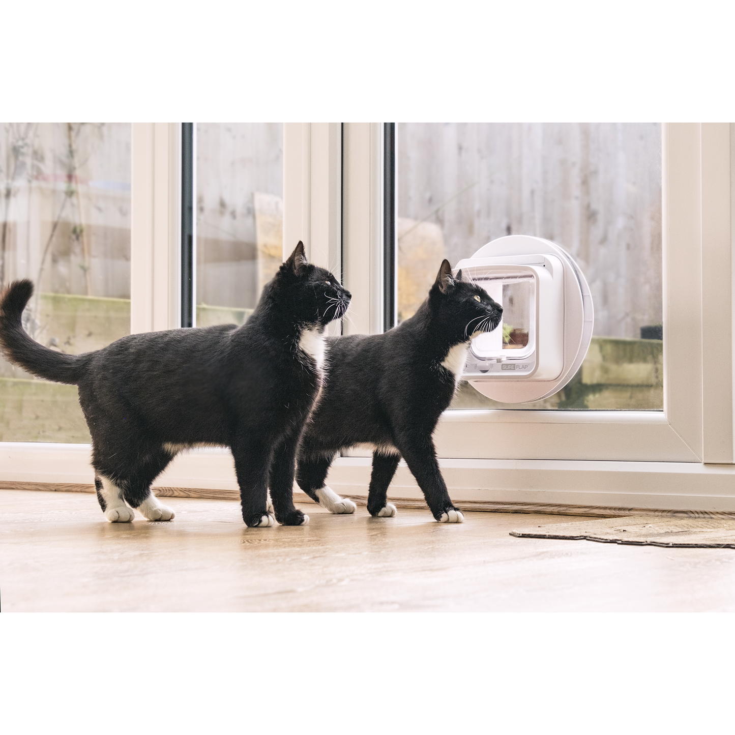 SureFlap Microchip Cat Door Connect