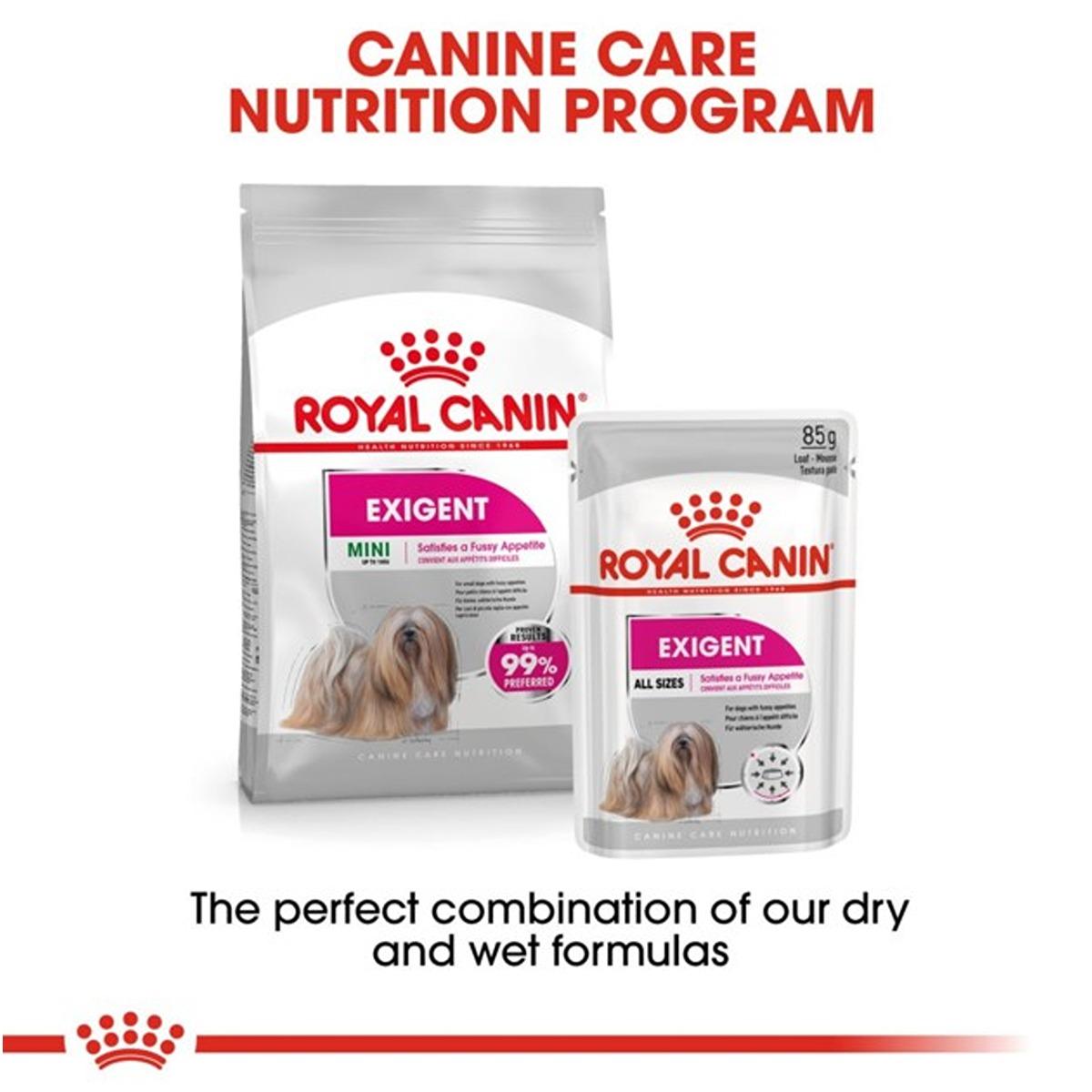 Royal Canin Mini Exigent Dry Dog Food