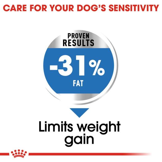 Royal Canin Mini Light Weight Care Dry Dog Food