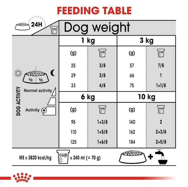 Royal Canin Mini Dental Care Dry Dog Food