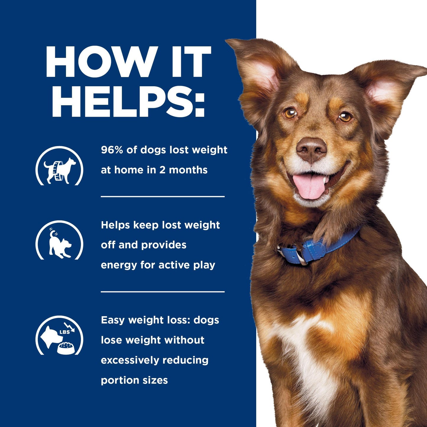 Hill's Prescription Diet Metabolic Weight Loss & Maintenance Dry Dog Food