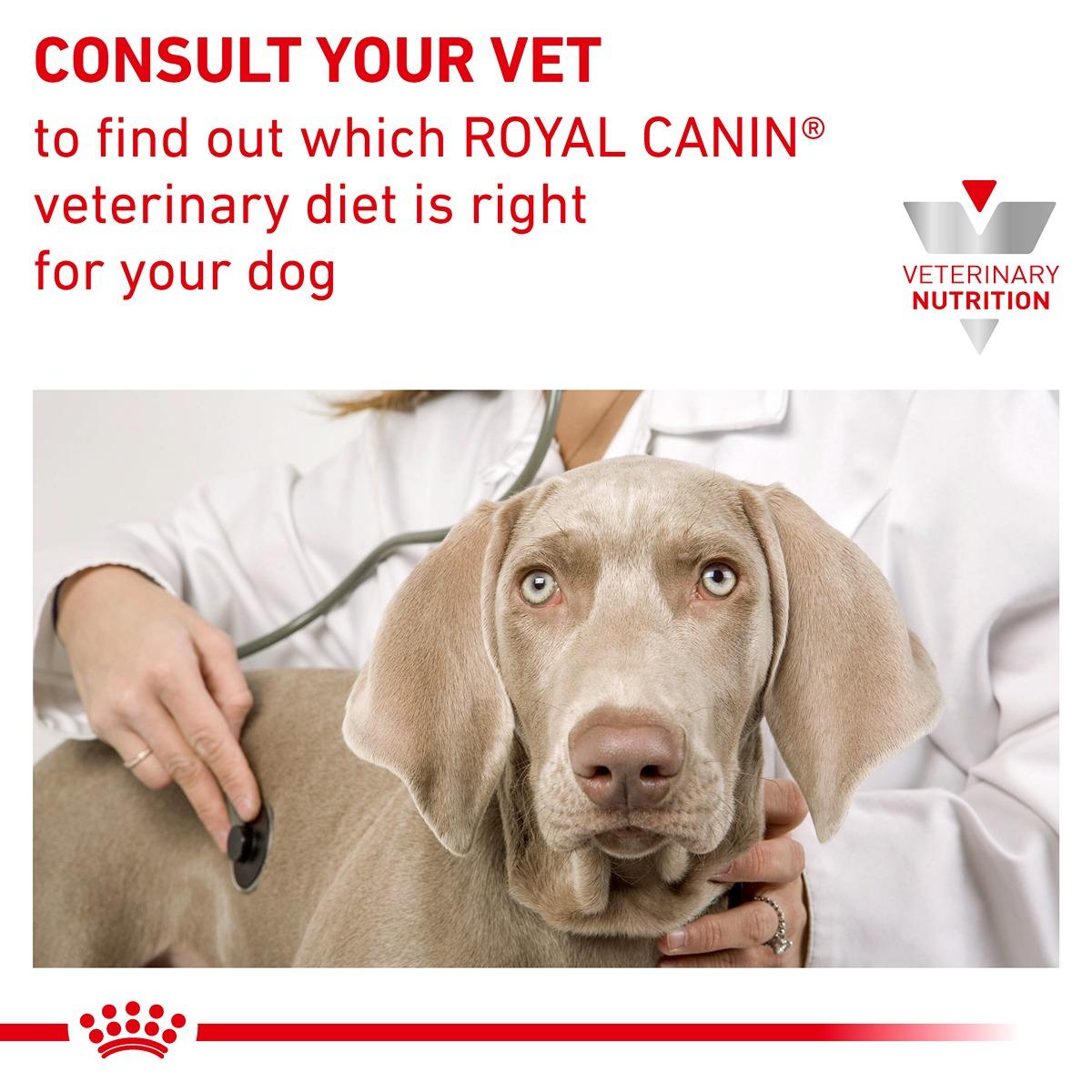 Royal Canin Veterinary Diet Renal Dry Dog Food