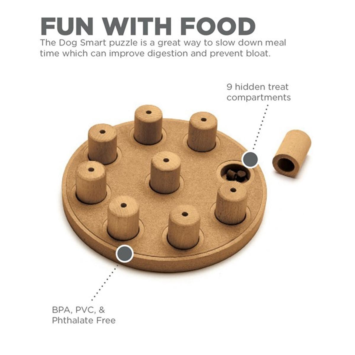 Outward Hound Nina Ottosson Dog Smart Composite Dog Puzzle Toy