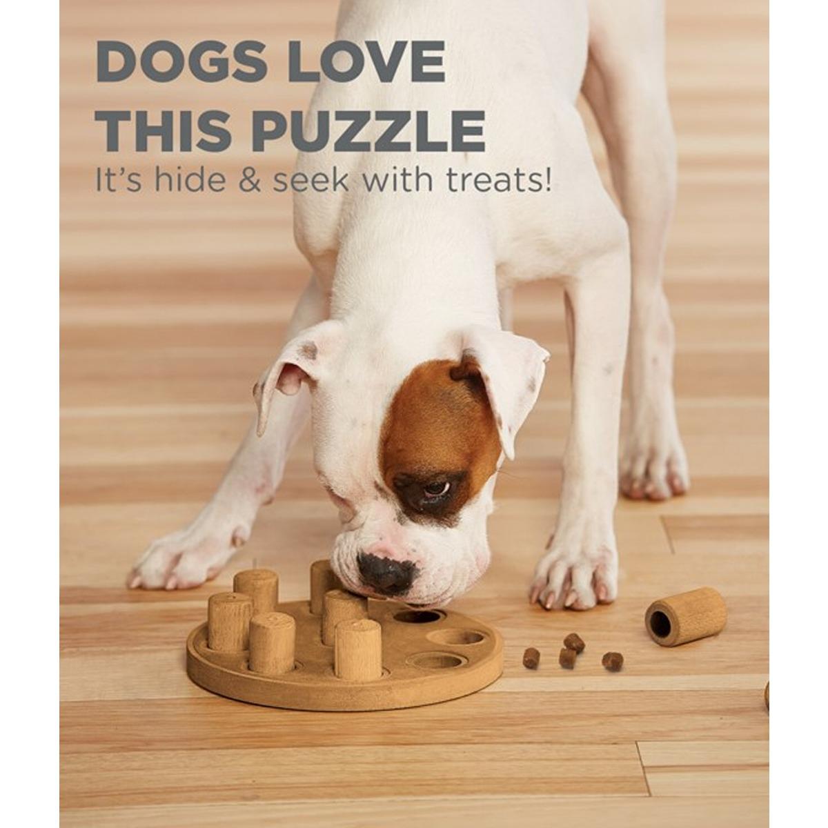 Outward Hound Nina Ottosson Dog Smart Composite Dog Puzzle Toy
