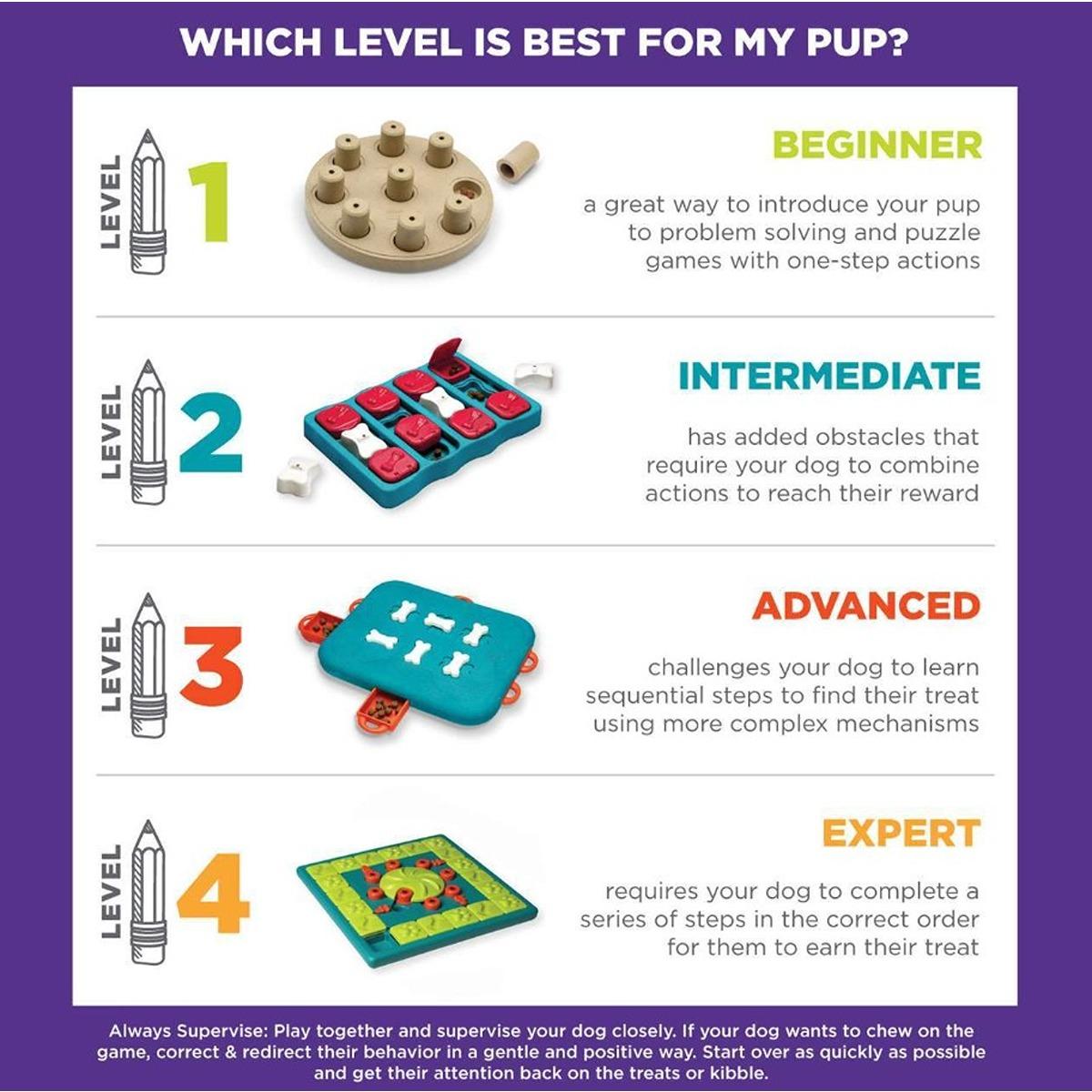 Outward Hound Nina Ottosson Dog Smart Composite Dog Puzzle Toy
