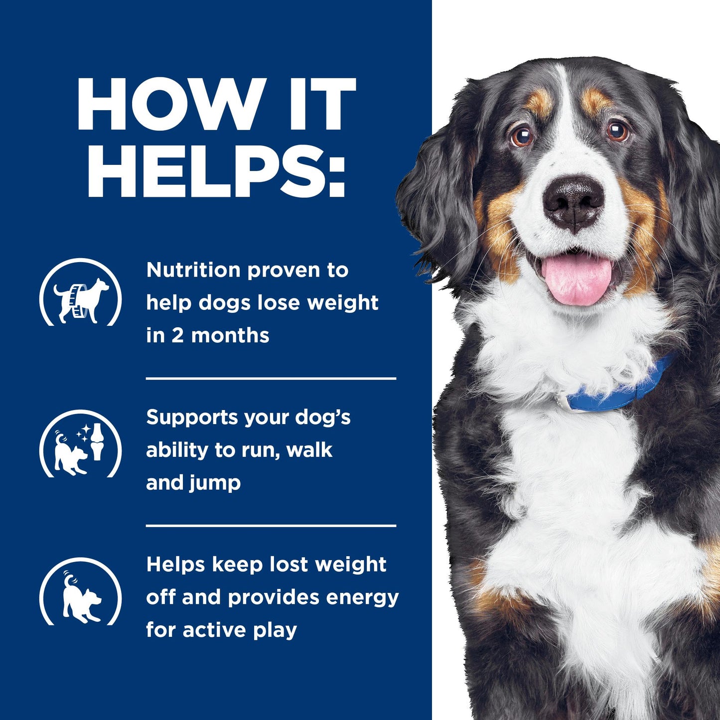 Hill's Prescription Diet Metabolic Weight + j/d Mobility Care Dry Dog Food