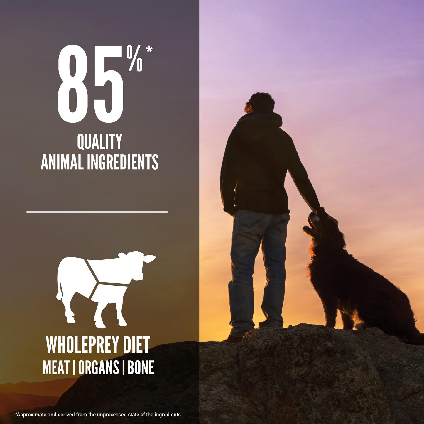 Orijen Regional Red Dog Food