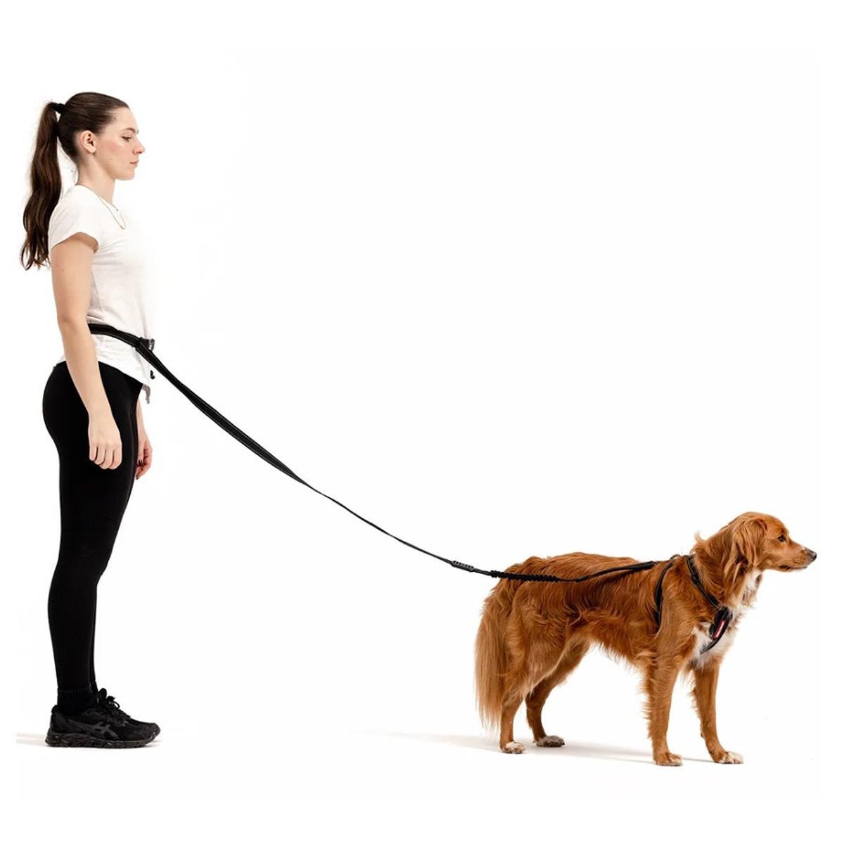 EzyDog Road Runner Leash