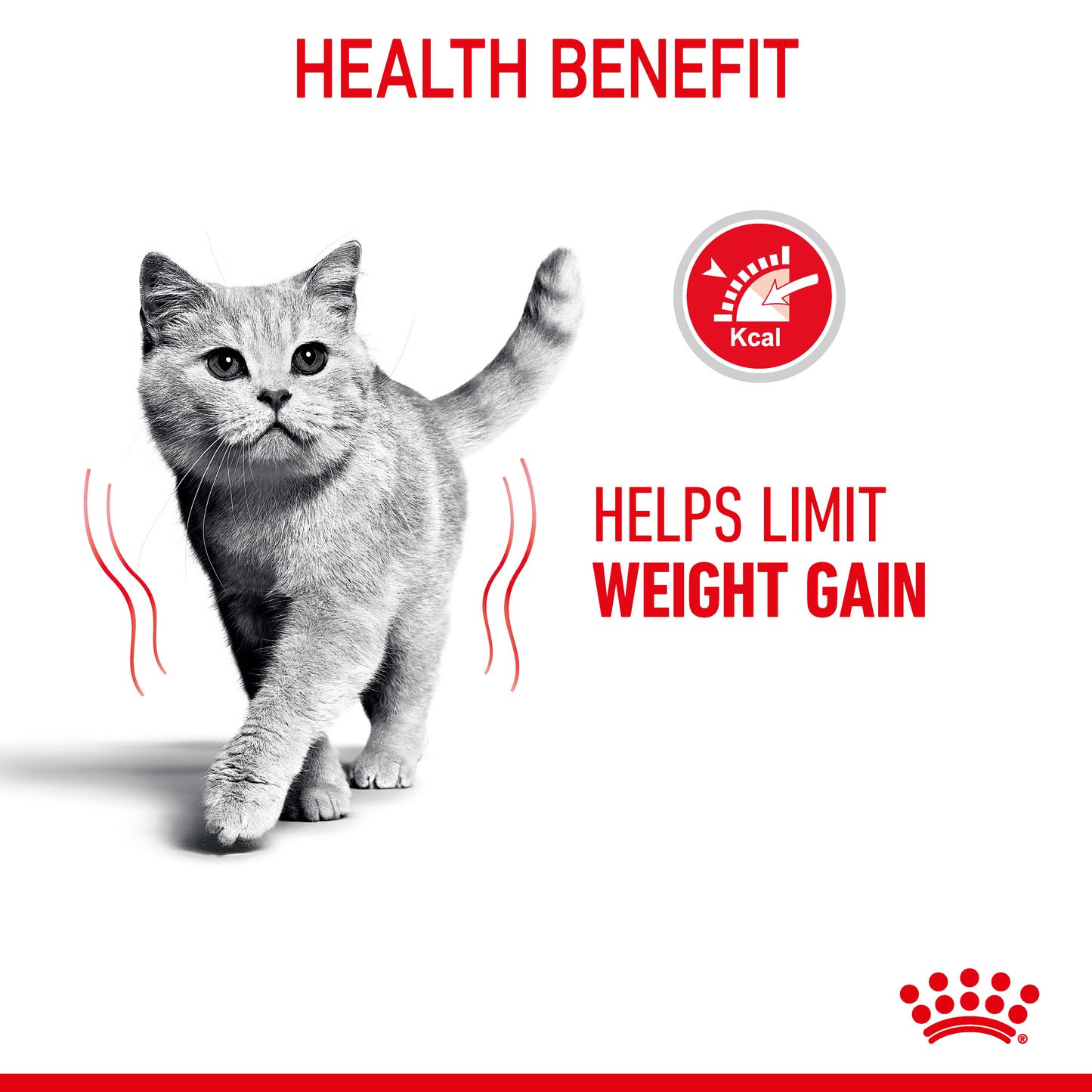 Royal Canin Light Weight Care Feline Dry Food