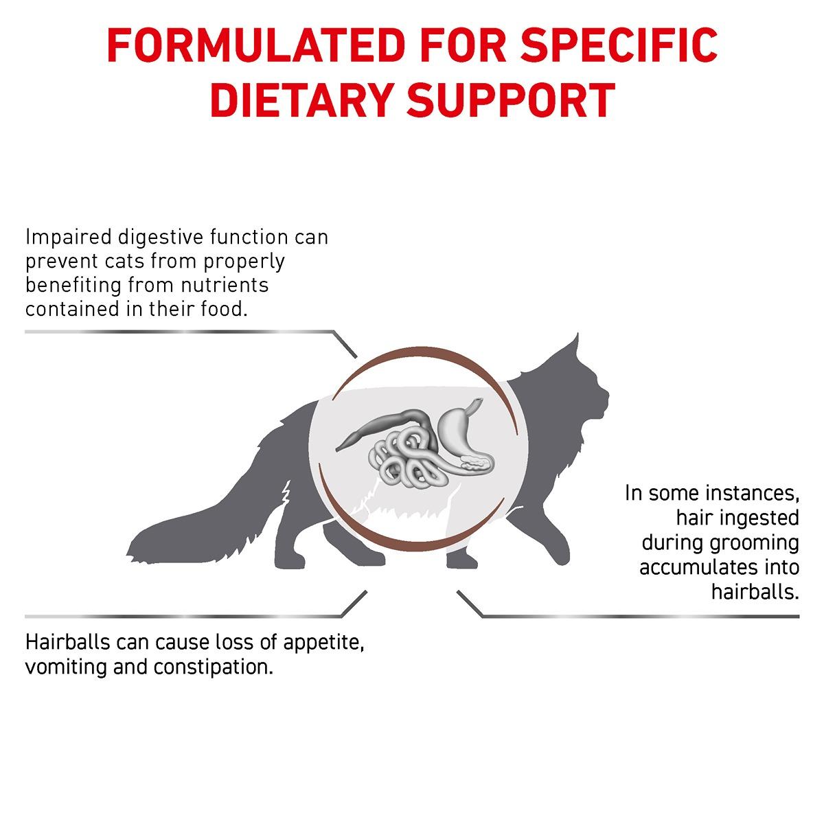 Royal Canin Vet Diet Feline Gastrointestinal Hairball Dry Cat Food