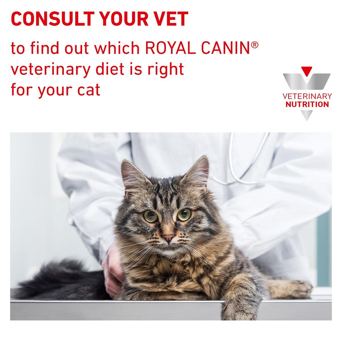 Royal Canin Vet Diet Feline Gastrointestinal Hairball Dry Cat Food