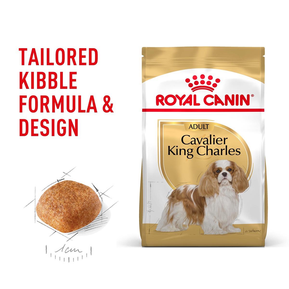 Royal Canin Cavalier King Char les Spaniel