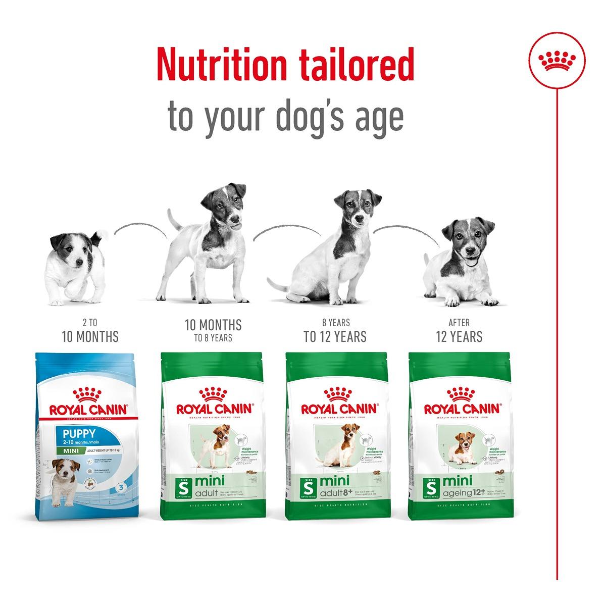 Royal Canin Mini Ageing 12+ Dry Food