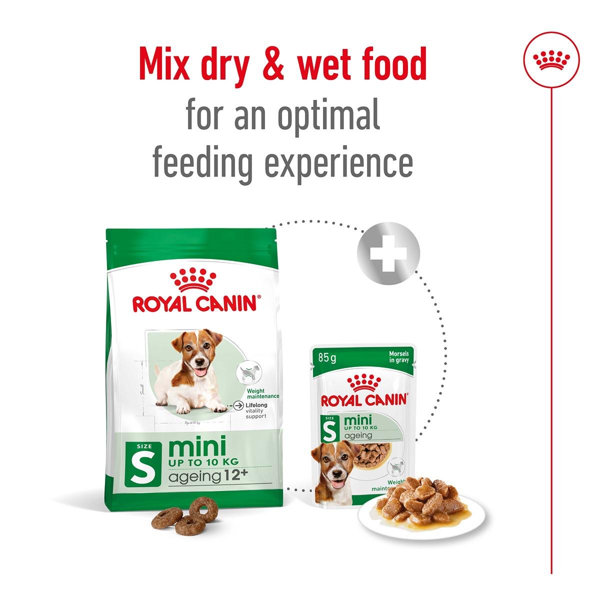 Royal Canin Mini Ageing 12+ Dry Food