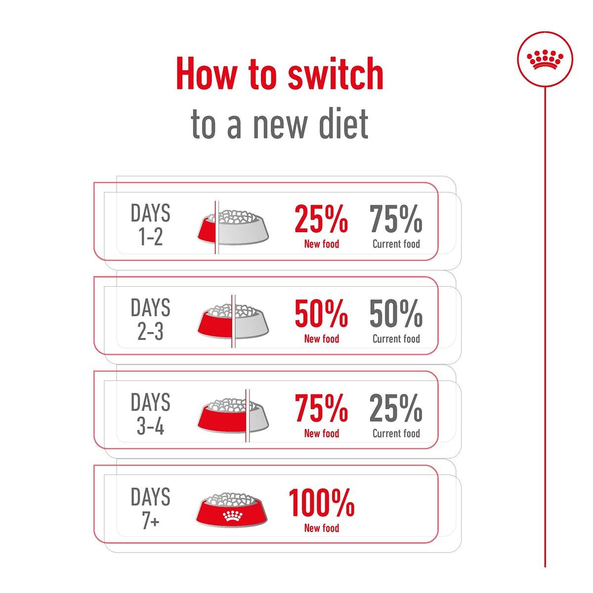 Royal Canin Mini Ageing 12+ Dry Food