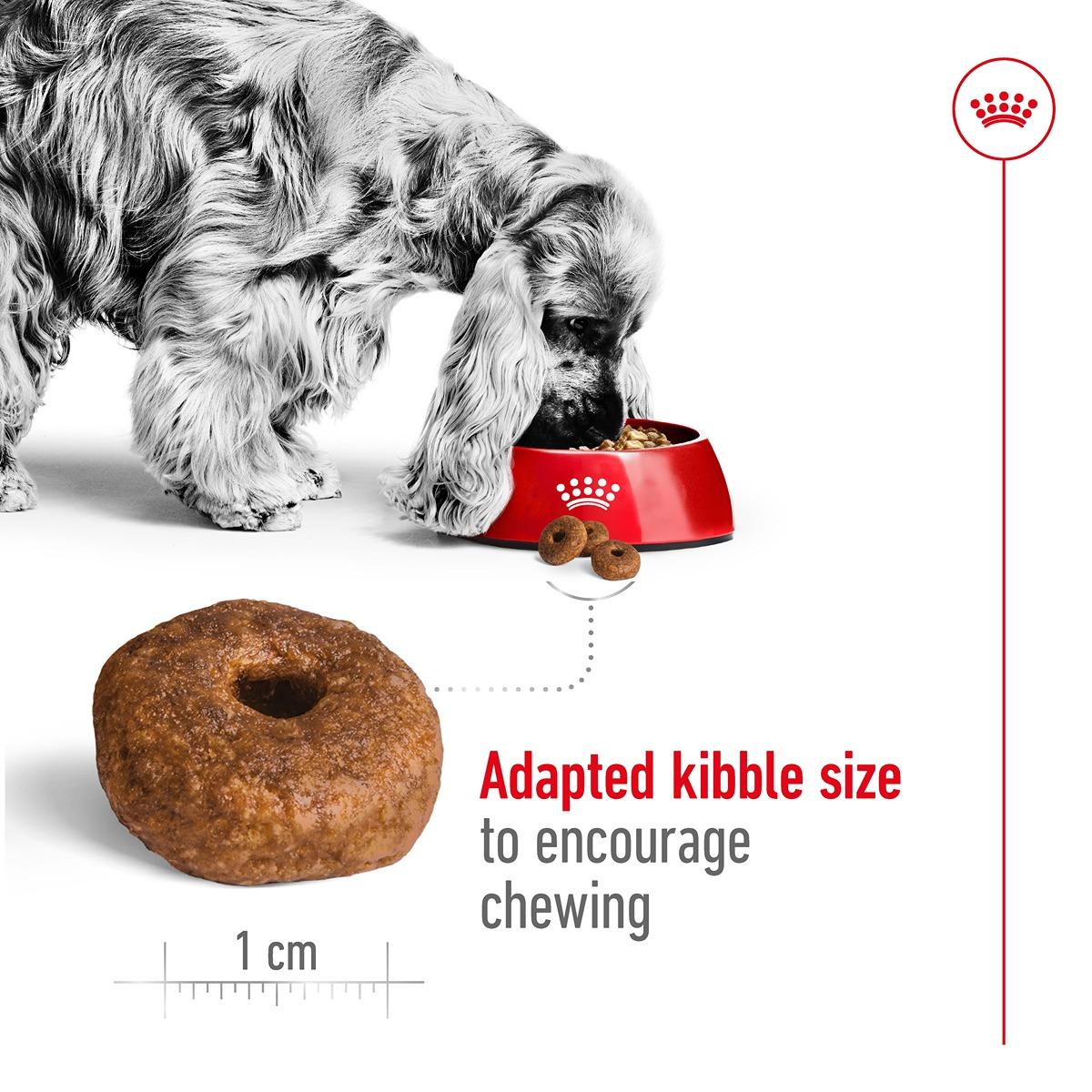 Royal Canin Medium Ageing 10+ Dry Food