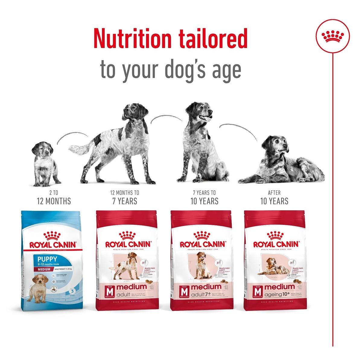 Royal Canin Medium Ageing 10+ Dry Food