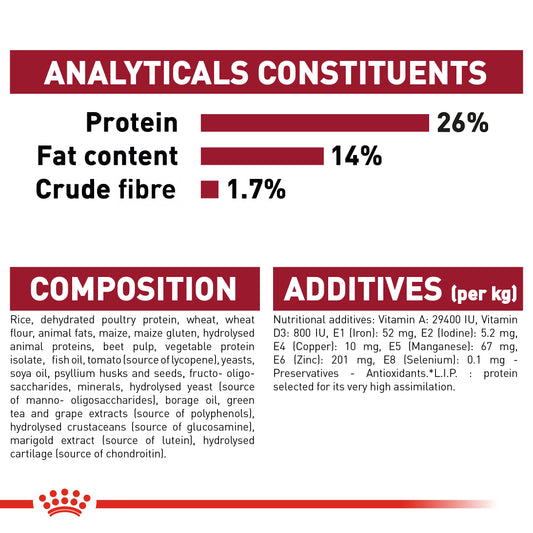 Royal Canin Medium Ageing 10+ Dry Food