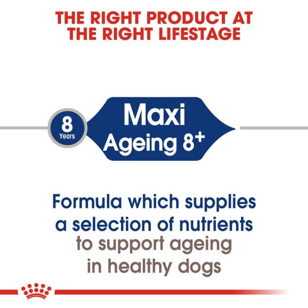 Royal Canin Maxi Ageing 8+ Dry Dog Food