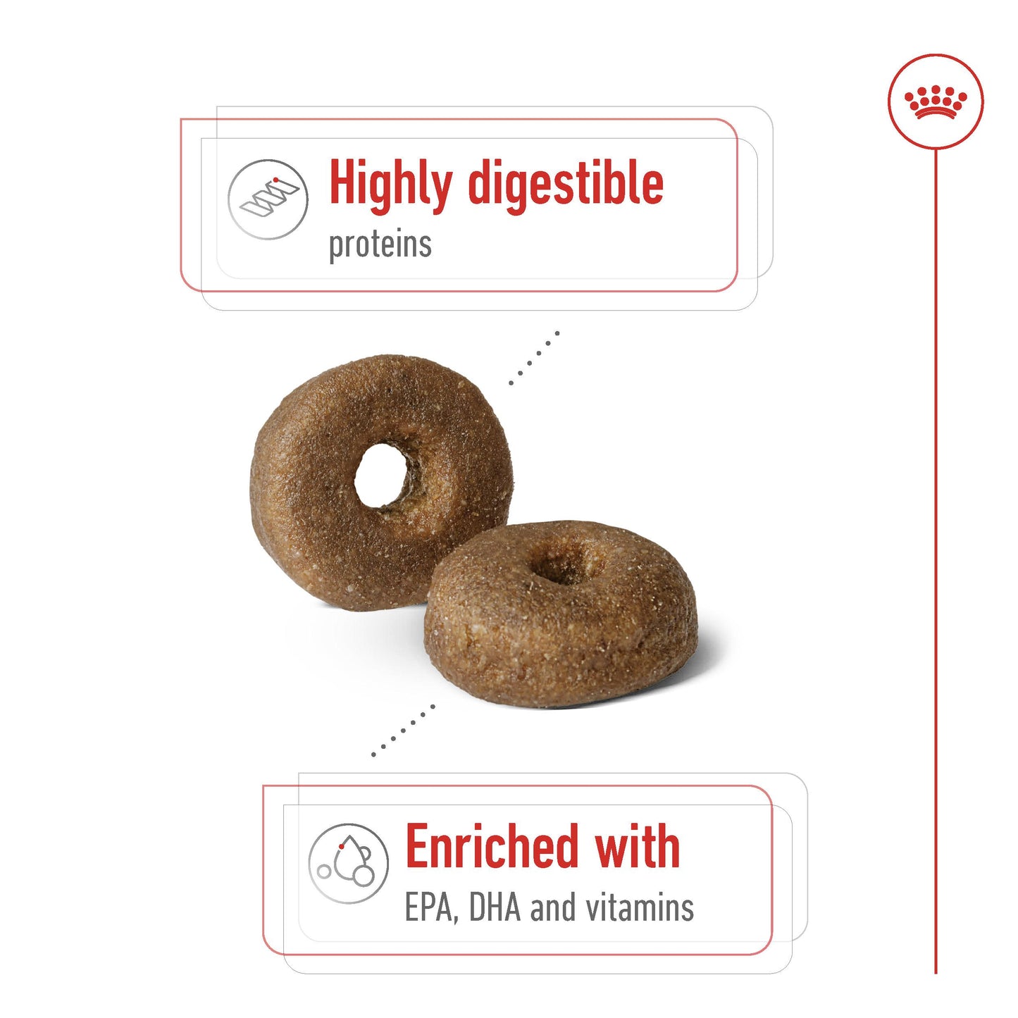 Royal Canin Maxi Ageing 8+ Dry Dog Food