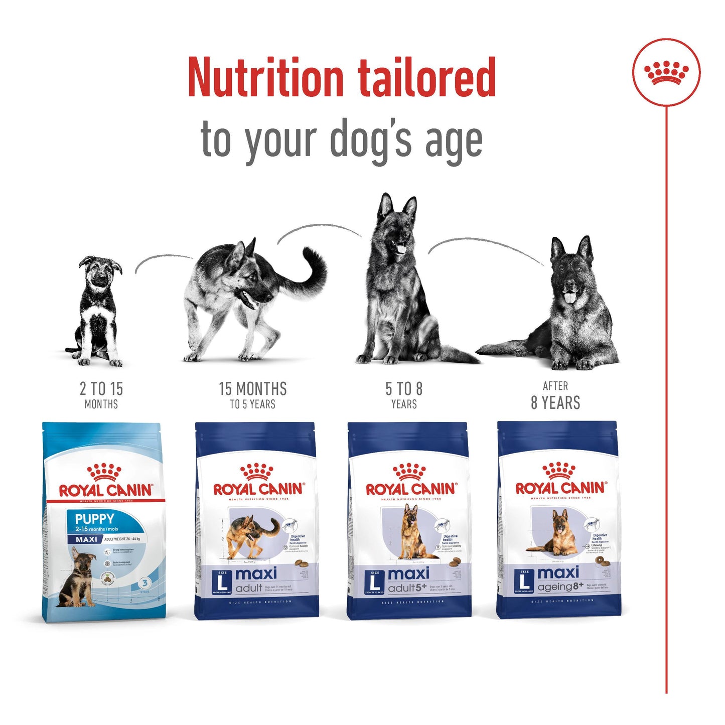 Royal Canin Maxi Ageing 8+ Dry Dog Food