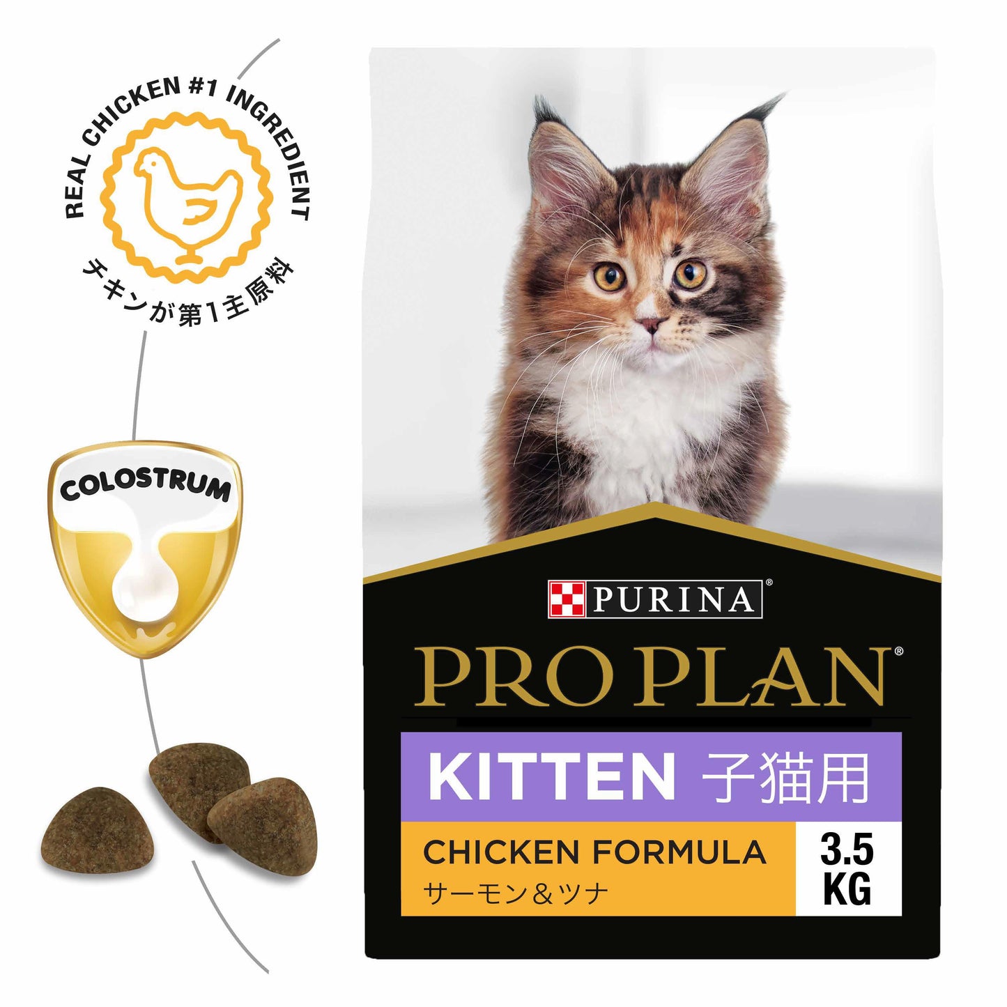 Pro Plan Chicken Formula Dry Kitten Food