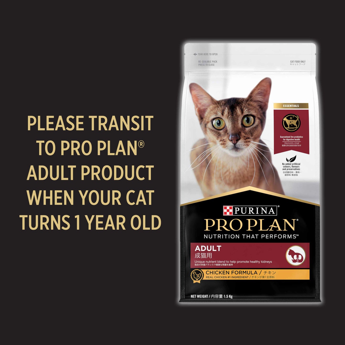 Pro Plan Chicken Formula Dry Kitten Food