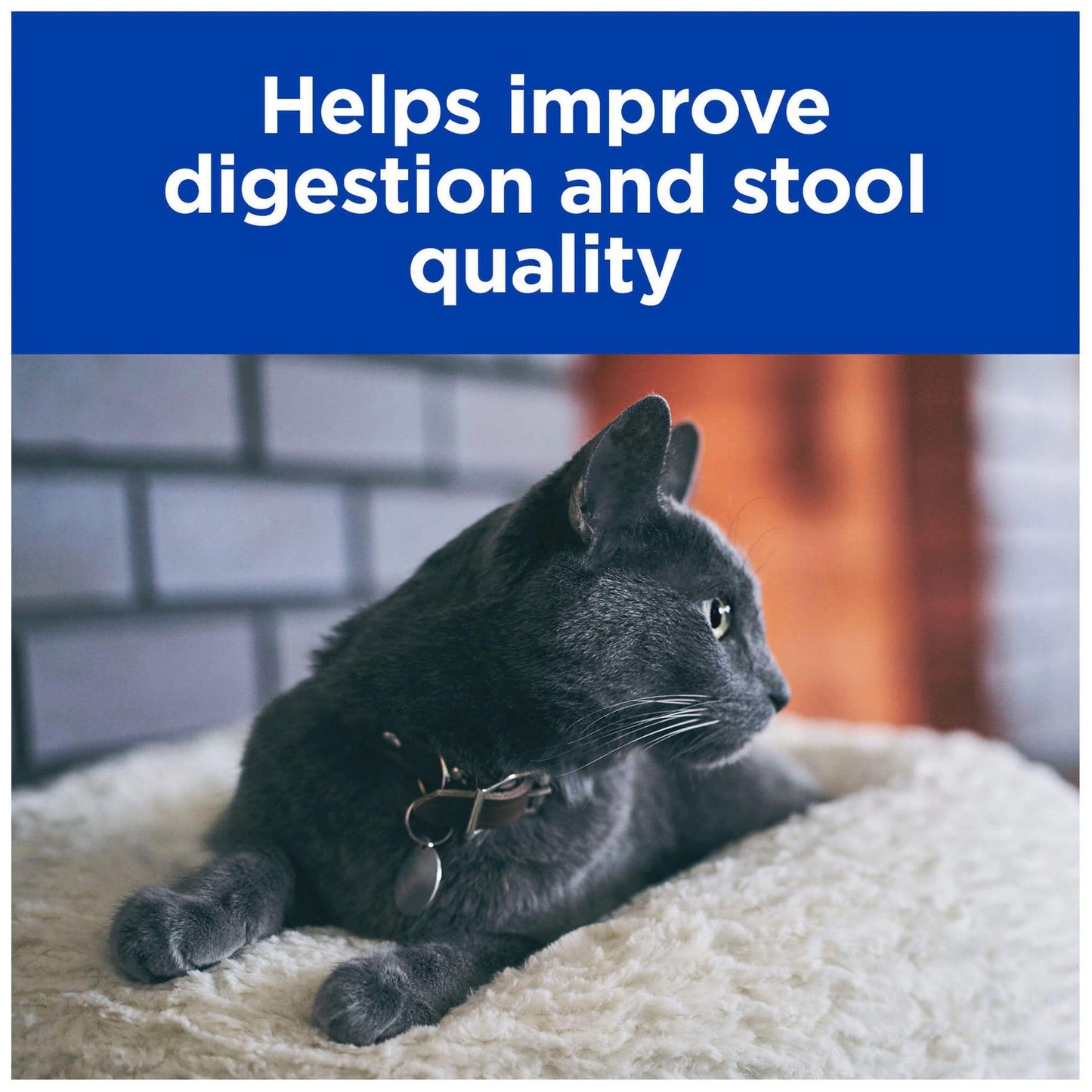 Hill's Prescription Diet i/d Digestive Care Wet Cat Food