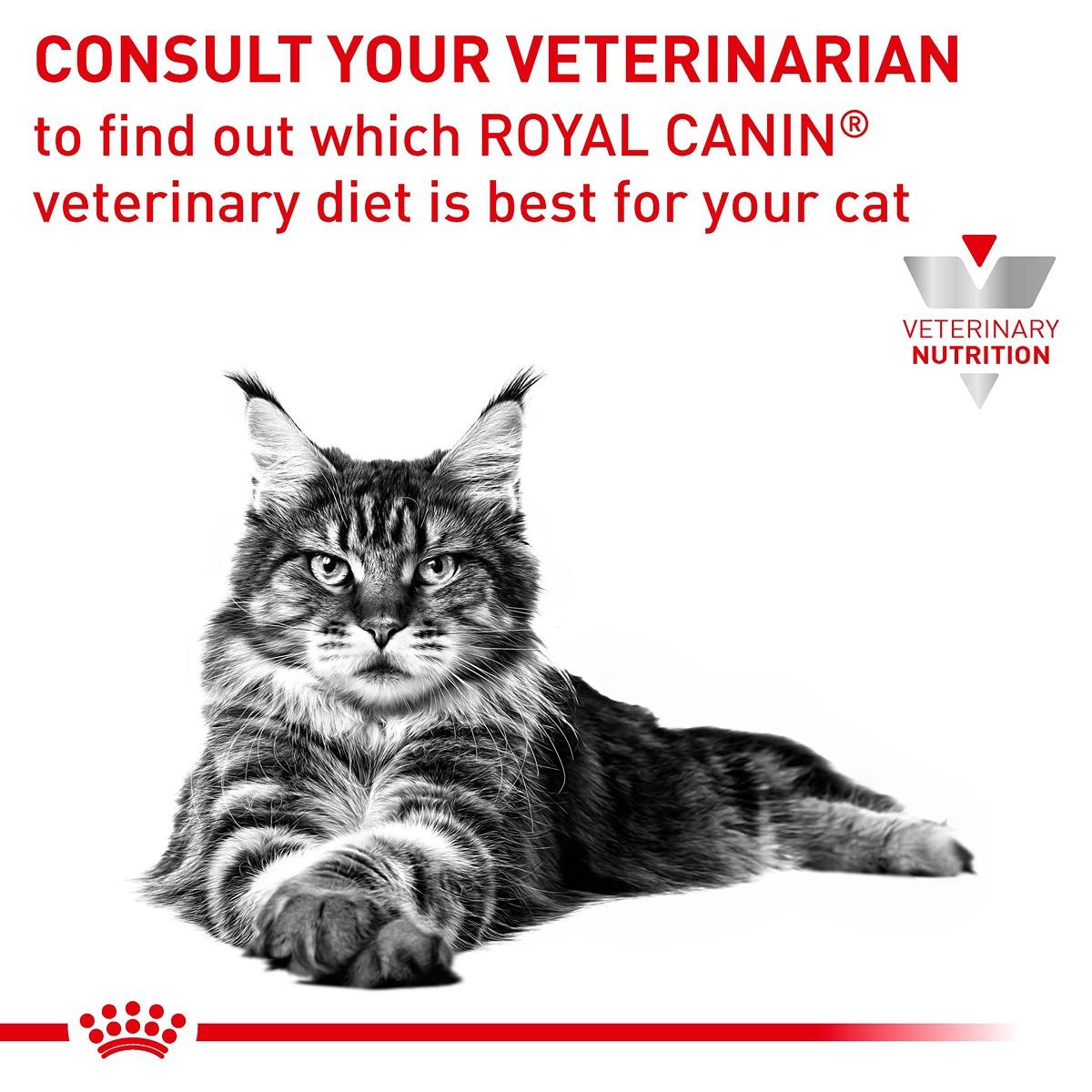 Royal Canin Veterinary Diet Renal Wet Cat Food With Fish