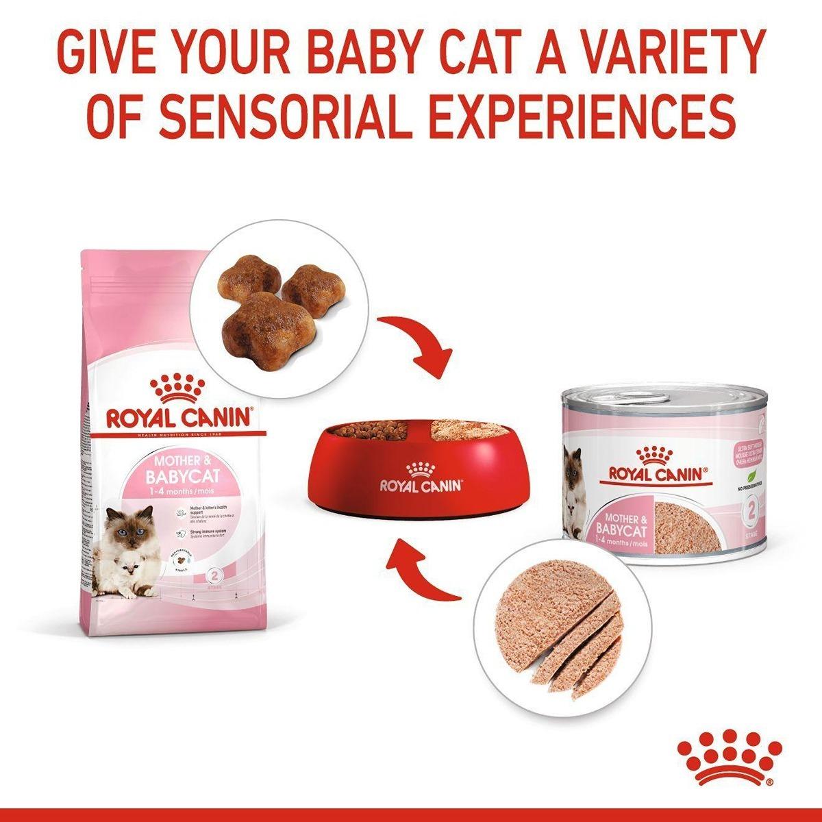 Royal Canin Mother & Babycat Wet Cat Food