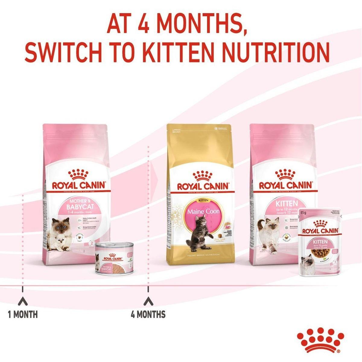 Royal Canin Mother & Babycat Wet Cat Food