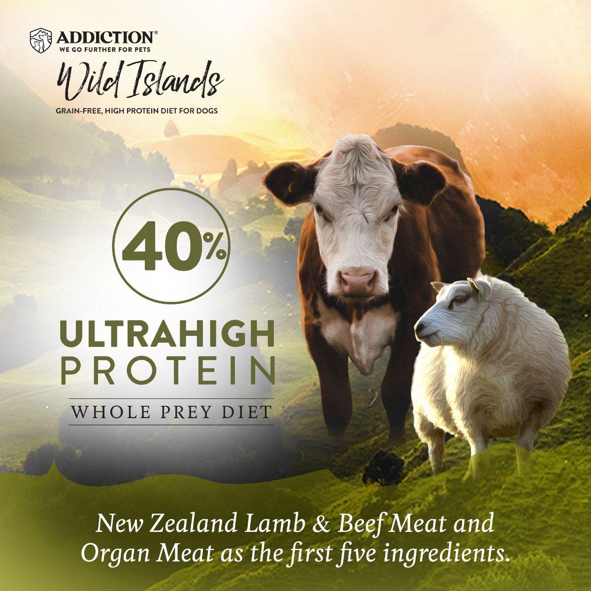 Addiction Wild Islands Highland Meats Lamb & Beef High Protein Dry Dog Food