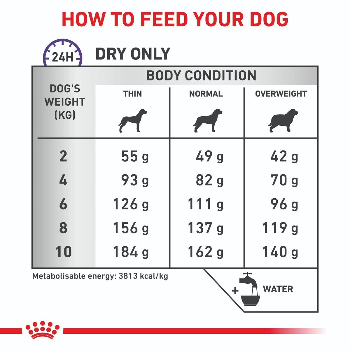 Royal Canin Veterinary Diet Dental Small Dog Dry Dog Food