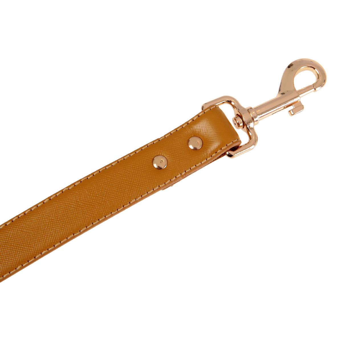 Buddy & Belle Leather Caramel Dog Lead